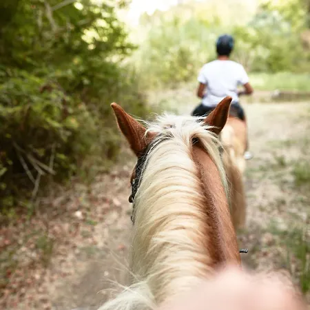 Mandola Rosa At Riviera Olympia, A Grecotel To Live Hotel