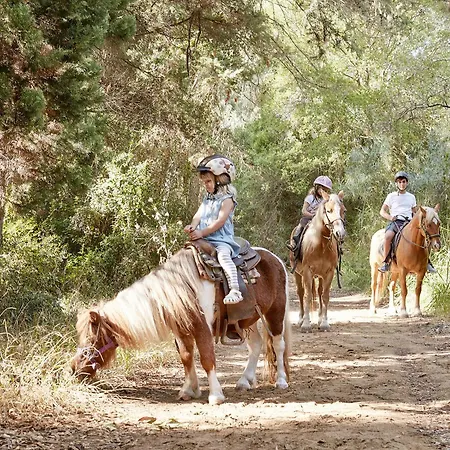 Mandola Rosa At Riviera Olympia, A Grecotel To Live Hotel 5*